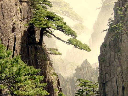 Name:  han-kengai natur.jpg
Views: 1284
Size:  64.6 KB