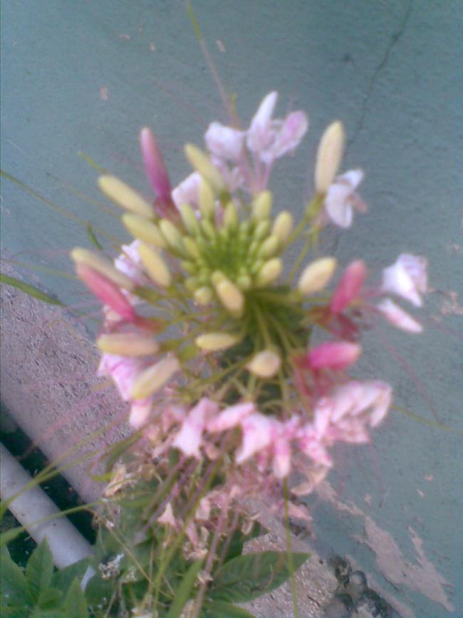 Name:  Grnt002.jpg
Views: 16697
Size:  54.6 KB