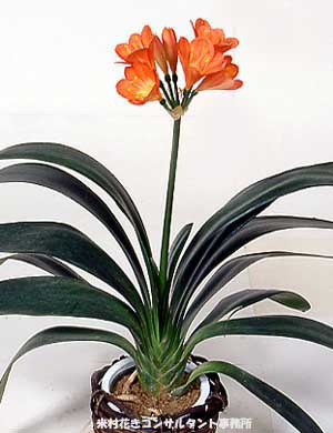 Name:  z109.jpg
Views: 29472
Size:  24.6 KB