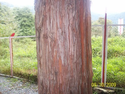 Name:  2.jpg
Views: 6669
Size:  64.2 KB