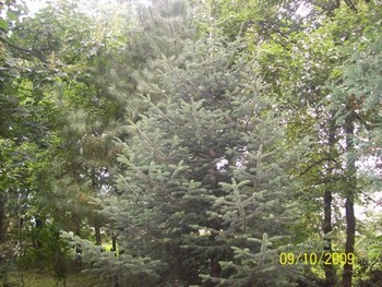 Name:  ABC.jpg
Views: 6269
Size:  63.3 KB