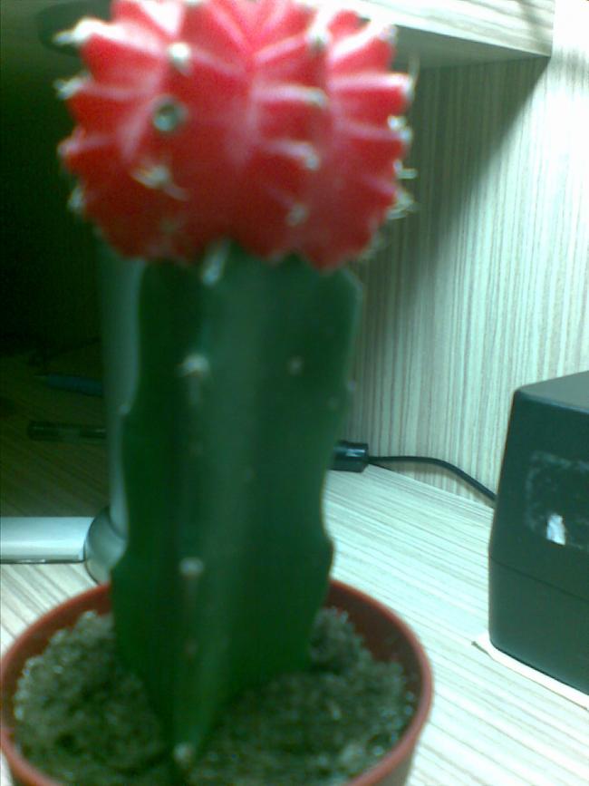 Name:  Grnt010.jpg
Views: 2544
Size:  49.4 KB