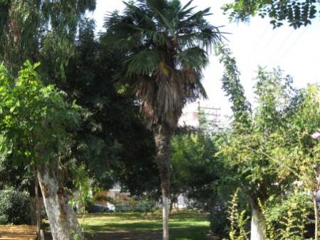 Name:  Resim 005 (450 x 338).jpg
Views: 3364
Size:  38.5 KB