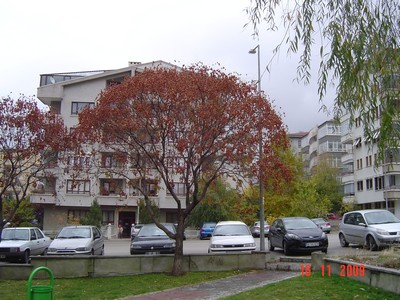 Name:  Image00001.jpg
Views: 2406
Size:  55.7 KB