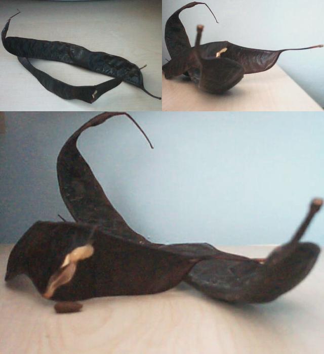 Name:  adsz.jpg
Views: 3386
Size:  35.5 KB