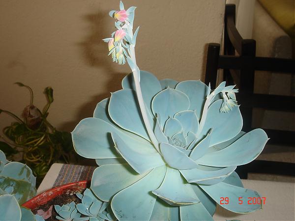 Name:  DSC00843.jpg
Views: 4201
Size:  36.5 KB