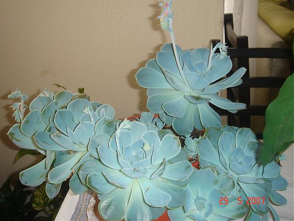 Name:  DSC00844.jpg
Views: 4122
Size:  43.7 KB