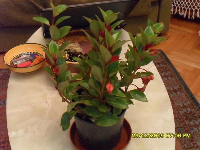 Name:  SDC11370.jpg
Views: 14944
Size:  43.2 KB
