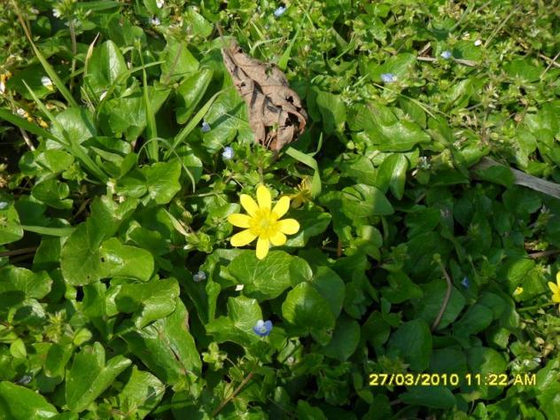 Name:  SDC11954.jpg
Views: 8134
Size:  71.0 KB
