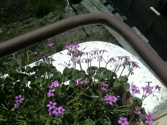 Name:  22.04.jpg
Views: 1728
Size:  59.6 KB