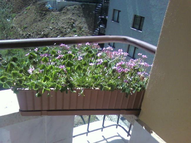 Name:  22.04 (1).jpg
Views: 1673
Size:  52.5 KB