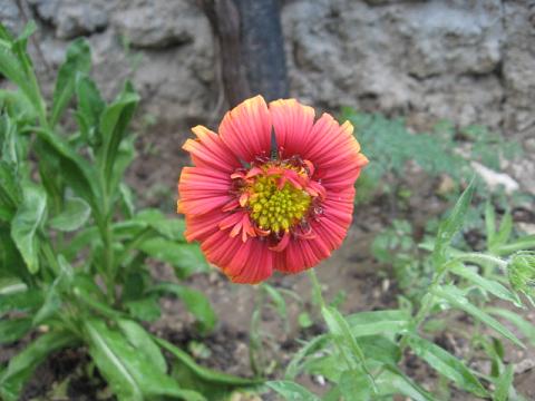Name:  bilinmeyen.JPG
Views: 941
Size:  39.1 KB