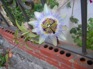 Name:  1.jpg
Views: 103521
Size:  56.1 KB
