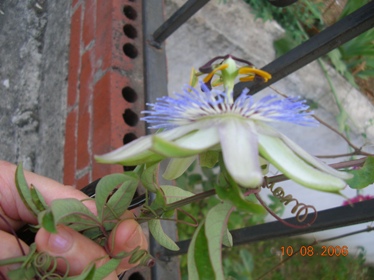 Name:  2.jpg
Views: 103254
Size:  52.3 KB