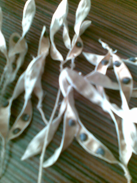 Name:  Grnt005.jpg
Views: 2032
Size:  53.8 KB