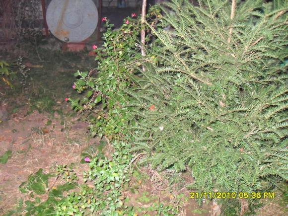 Name:  041.jpg
Views: 1794
Size:  72.4 KB