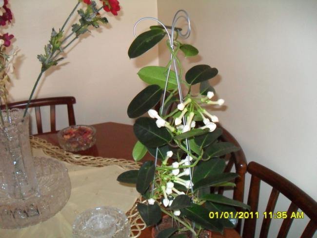 Name:  028.jpg
Views: 5300
Size:  39.6 KB