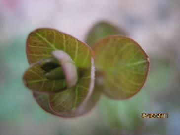 Name:  nedir.JPG
Views: 3111
Size:  23.2 KB