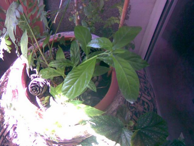 Name:  24042011(001).jpg
Views: 5427
Size:  42.9 KB