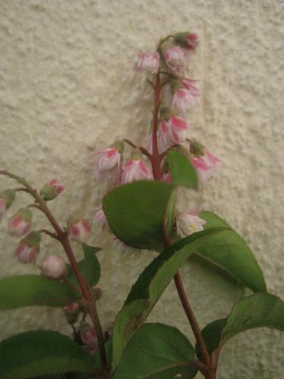Name:  nedir.JPG
Views: 4379
Size:  33.8 KB