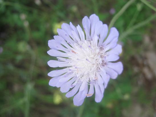 Name:  nedir1.JPG
Views: 12948
Size:  36.4 KB