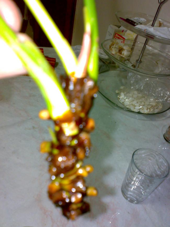 Name:  11062011215.jpg
Views: 1210
Size:  55.3 KB