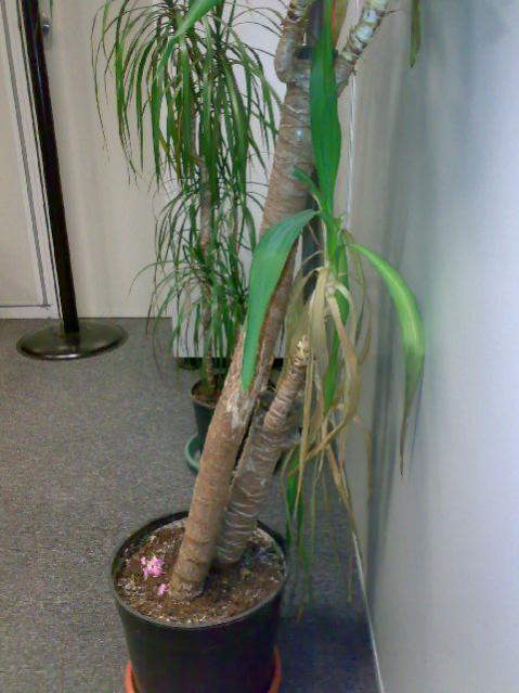 Name:  20062011222.jpg
Views: 1120
Size:  43.0 KB