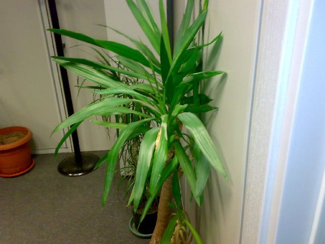 Name:  20062011223.jpg
Views: 1174
Size:  65.0 KB