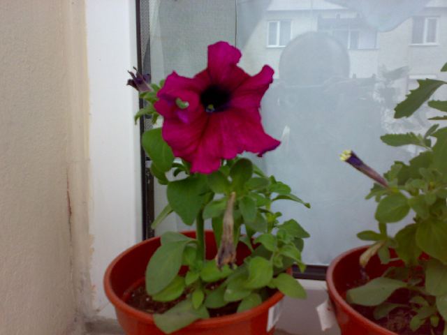 Name:  20062011224.jpg
Views: 927
Size:  53.5 KB