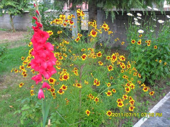 Name:  012.jpg
Views: 2786
Size:  72.2 KB