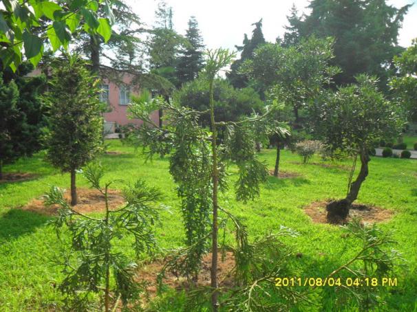 Name:  035.jpg
Views: 1233
Size:  71.2 KB