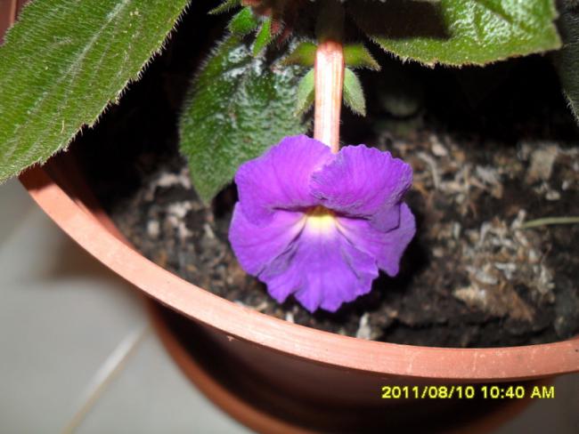 Name:  001.jpg
Views: 2041
Size:  43.1 KB
