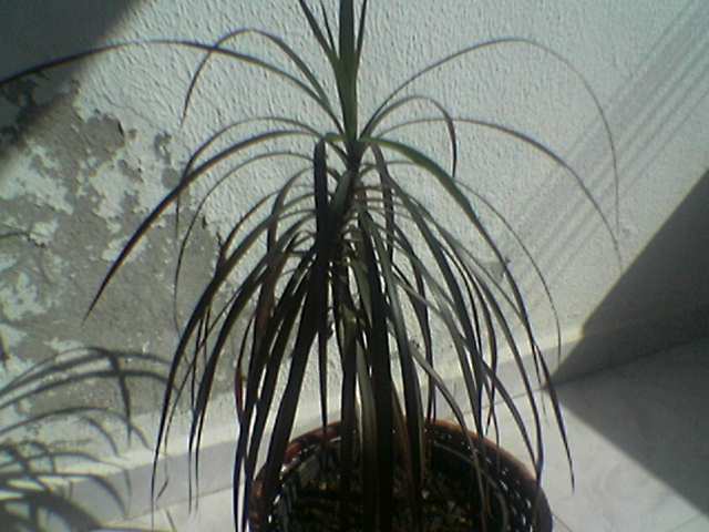 Name:  Image(027).jpg
Views: 31836
Size:  35.7 KB