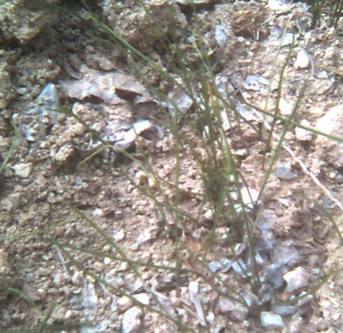 Name:  bunedirr.jpg
Views: 651
Size:  56.1 KB