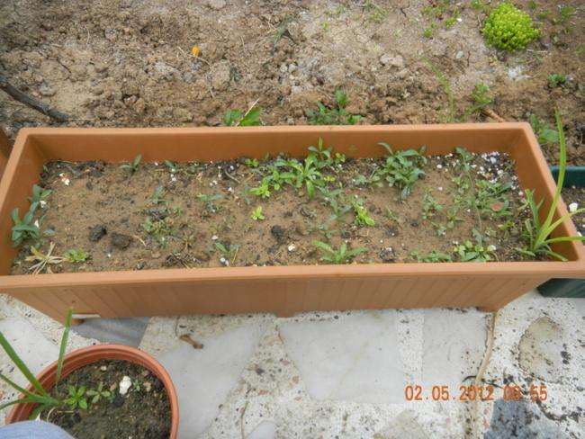 Name:  DSCN0832.jpg
Views: 1731
Size:  63.5 KB