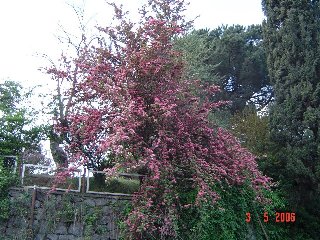 Name:  iek2.jpg
Views: 22051
Size:  32.9 KB