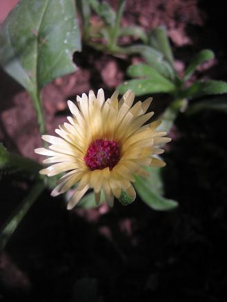 Name:  nedir.JPG
Views: 4188
Size:  23.6 KB