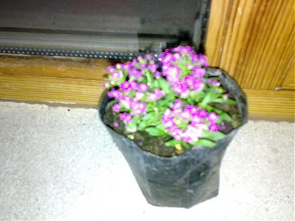 Name:  110320081583.jpg
Views: 1367
Size:  36.7 KB