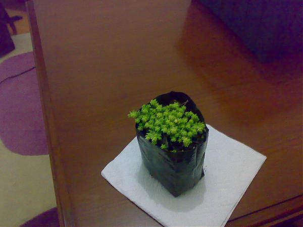 Name:  120320081616.jpg
Views: 1618
Size:  24.1 KB