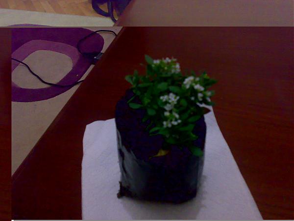 Name:  120320081617.jpg
Views: 1609
Size:  24.0 KB