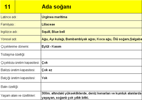 Name:  11adasoan (Kopyala).png
Views: 1197
Size:  67.7 KB