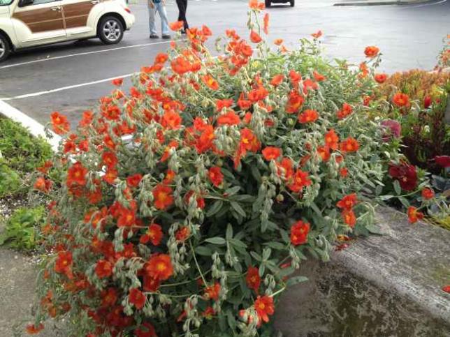 Name:  2012-05-05 18.20.34.jpg
Views: 3659
Size:  71.8 KB