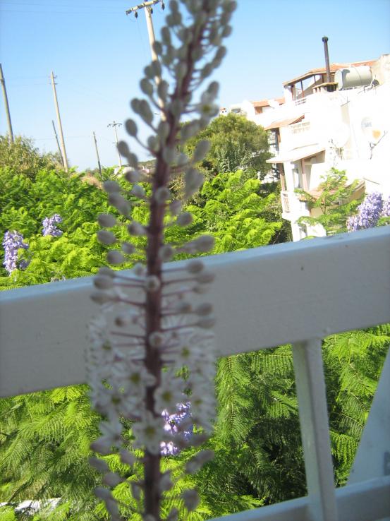Name:  yeni resimler 11 001.jpg
Views: 1578
Size:  72.8 KB