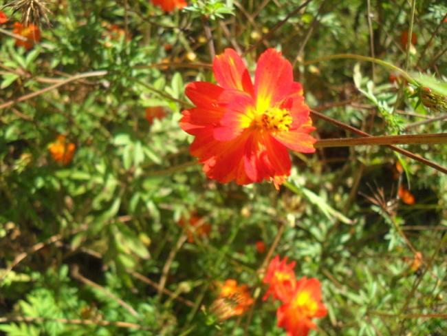 Name:  035.jpg
Views: 1893
Size:  55.8 KB