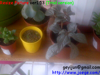 Name:  nedir.jpg
Views: 830
Size:  46.5 KB