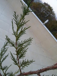 Name:  SAM_0289_Converted_Converted.JPG
Views: 1233
Size:  56.5 KB