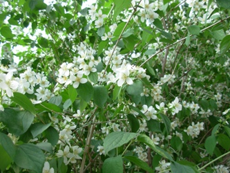 Name:  Resim 078.jpg
Views: 1511
Size:  68.3 KB