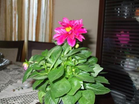 Name:  027.jpg
Views: 899
Size:  27.7 KB