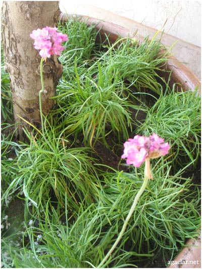 Name:  cim1.jpg
Views: 5644
Size:  62.4 KB