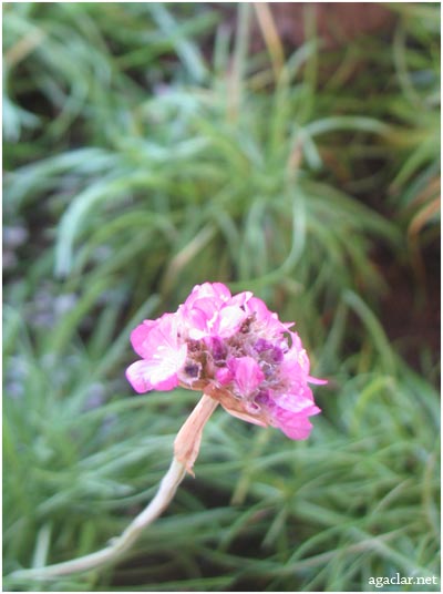 Name:  cim2.jpg
Views: 1604
Size:  30.6 KB